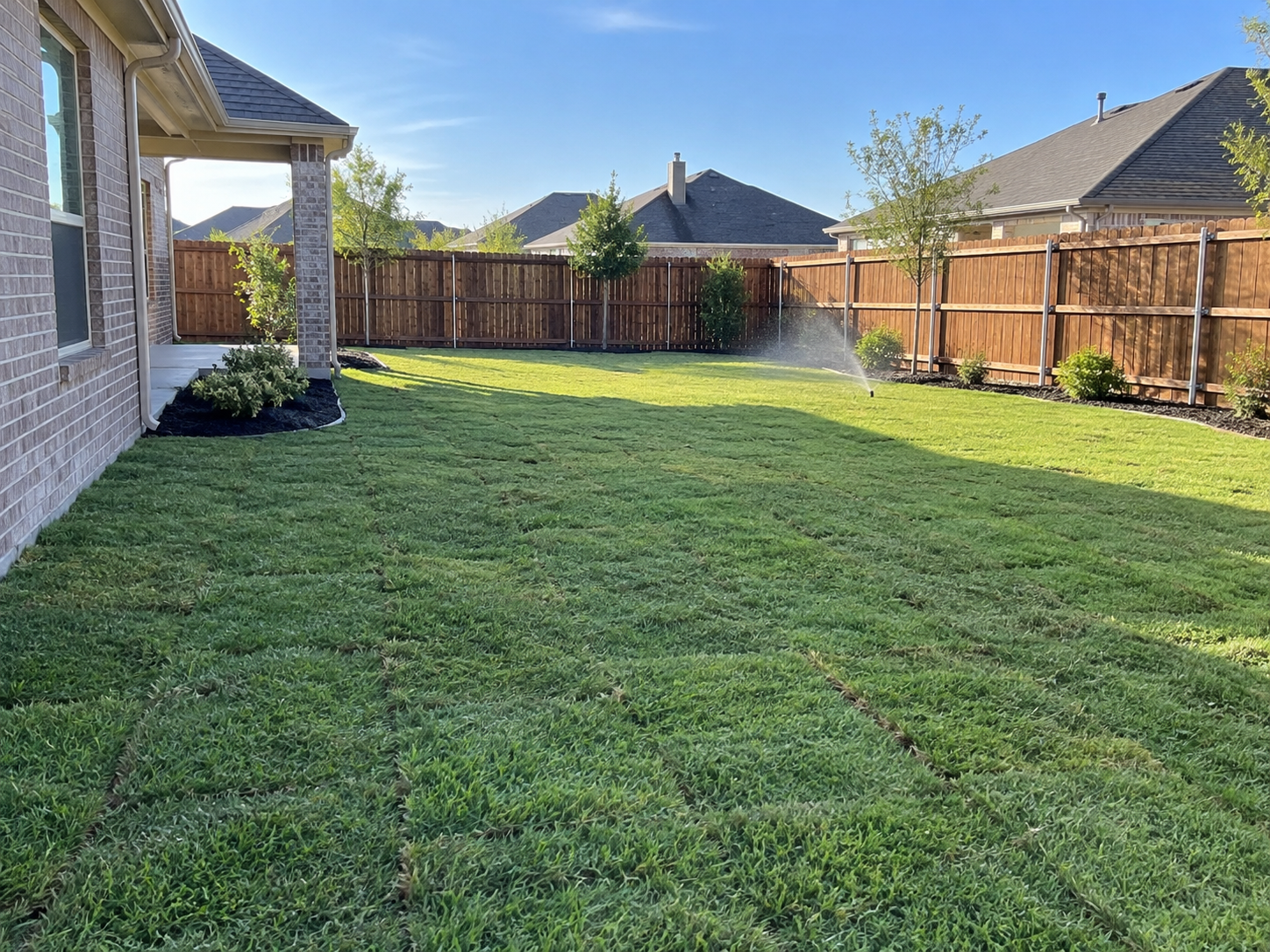 Fresh lawn installation